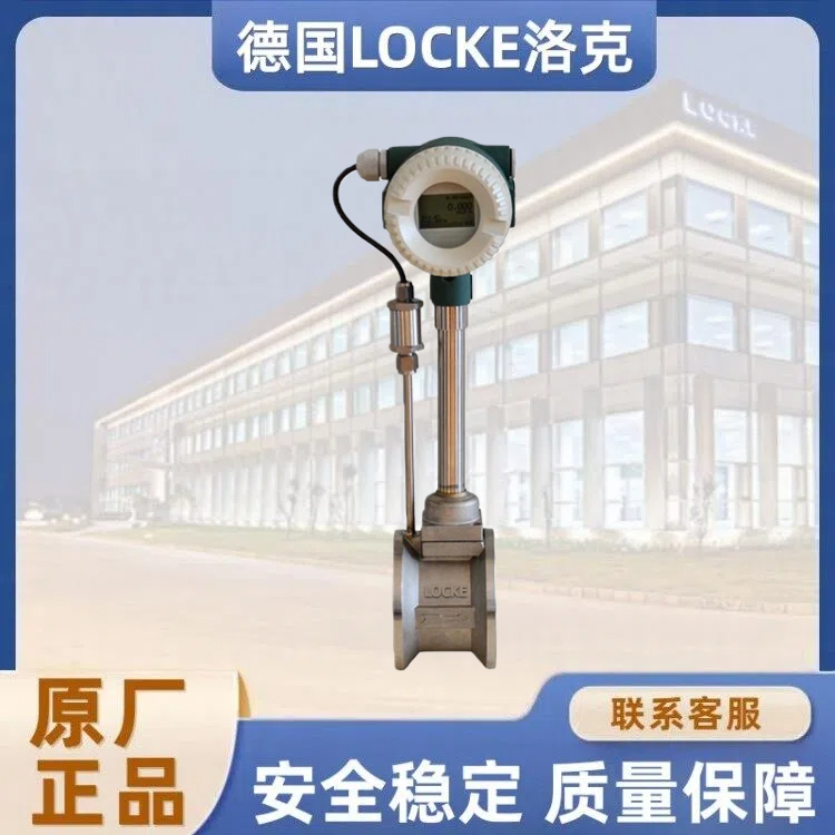 进口夹持式涡街流量计