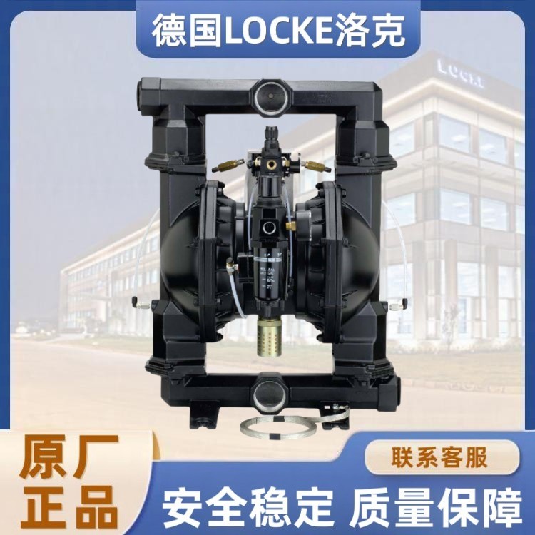 进口粉体隔膜泵