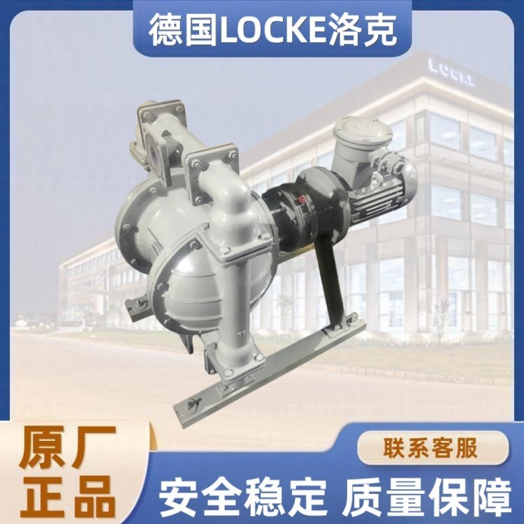 进口衬氟电动隔膜泵