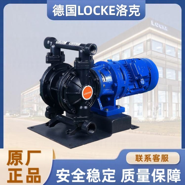 进口铸铁电动隔膜泵