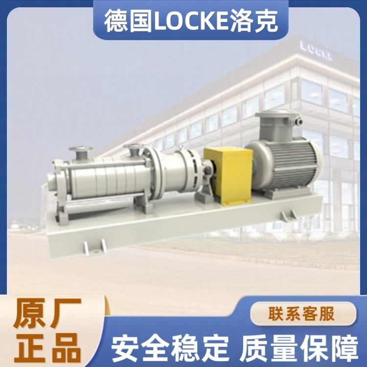 进口无泄漏石油化工流程多级磁力泵