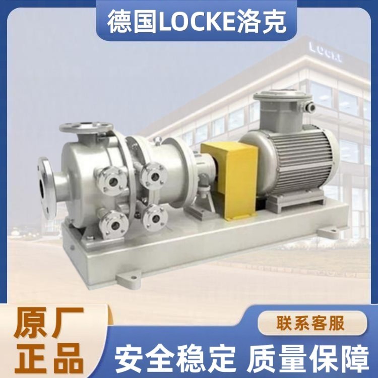 进口无泄漏磁力保(高)温泵