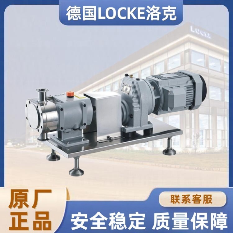 进口上进下出型转子泵