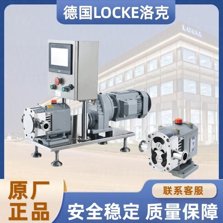 进口变频控制转子泵