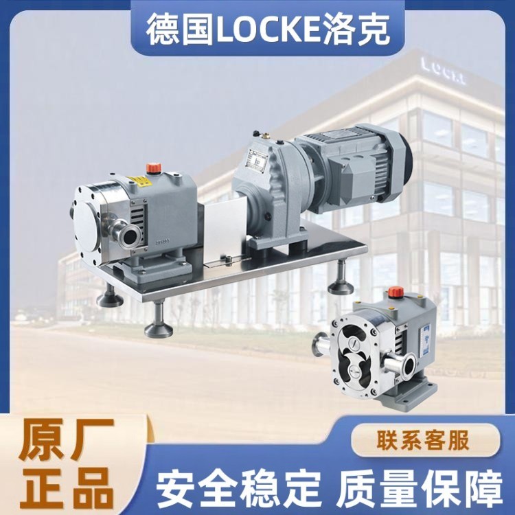 进口不锈钢转子泵.jpg