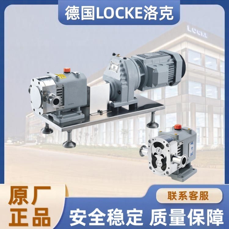 进口转子泵.jpg