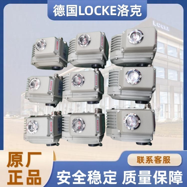 进口角行程电动执行器.jpg