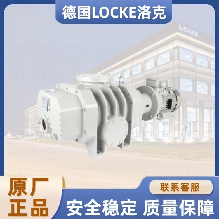 进口罗茨真空泵.jpg