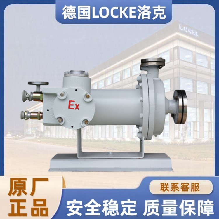 进口热水循环屏蔽泵