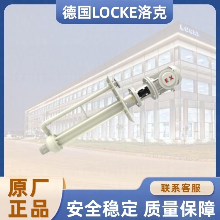 进口氟塑料液下泵.jpg